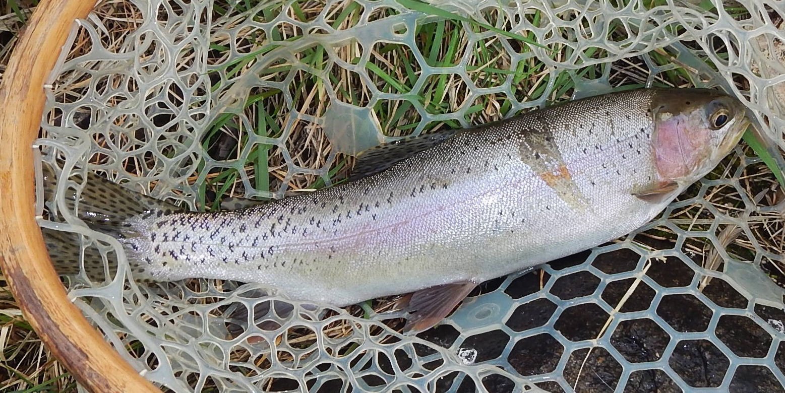 Stillwater rainbow